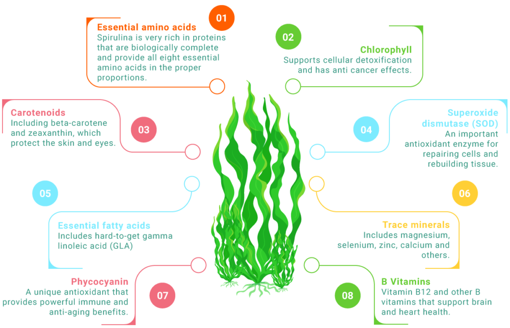 Buy Spirulina Powder Spirulina Powder Online Spirulina Health Benefits